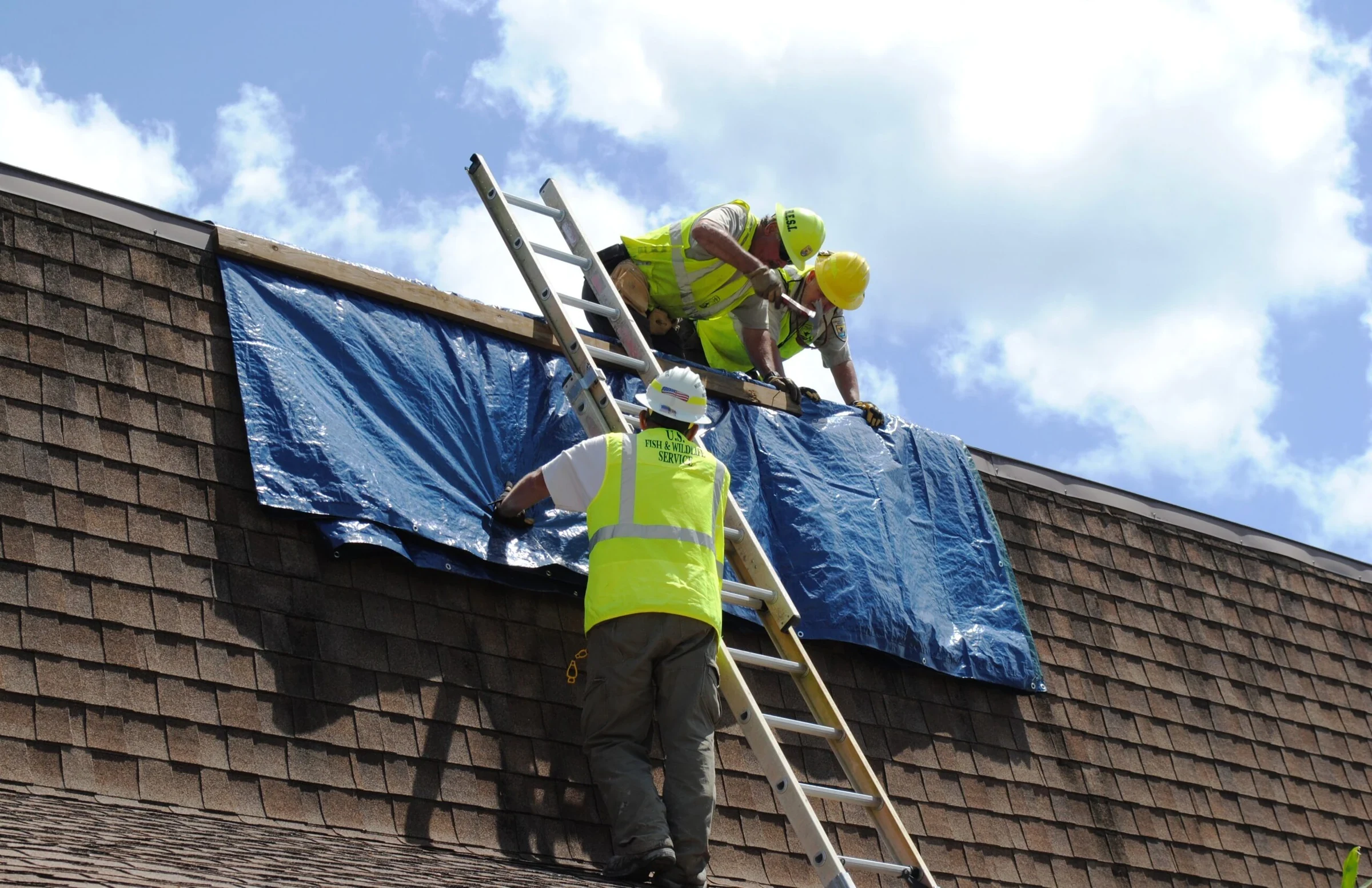 Emergency Tarp and Dry-In Service in Eugene, OR